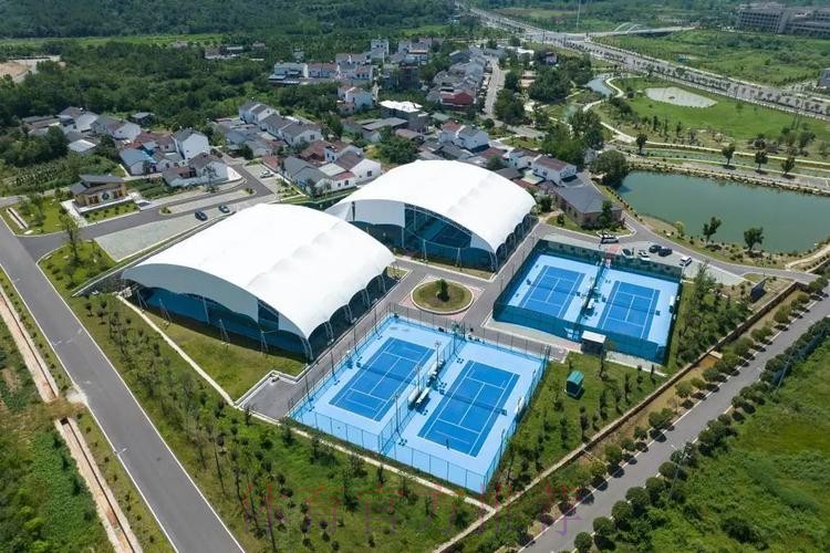 网球运动管理中心发布改革措施 多维度构建网球事业高质量发展新格局
